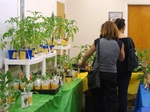 Plant Sale Plant Sale